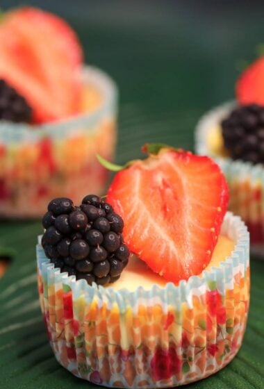 MINI CHEESECAKES close up.